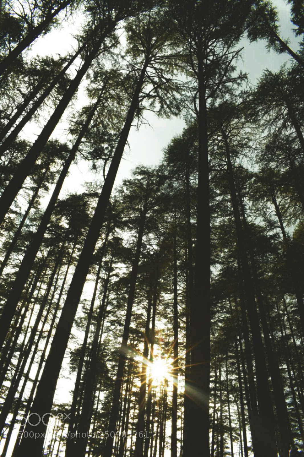 Nikon D5300 sample photo. Untitled photography