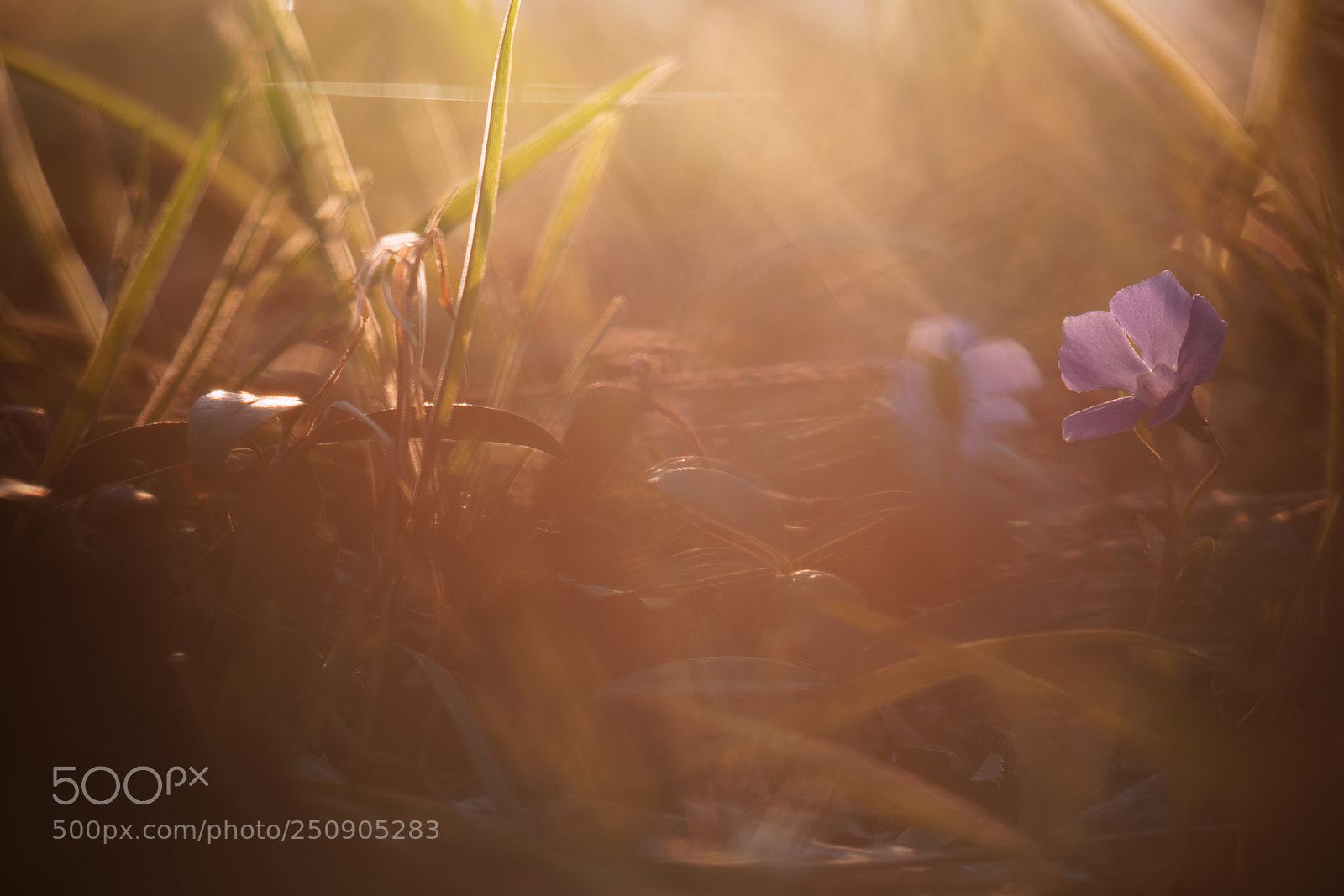 Canon EOS 5D Mark IV sample photo. The end of the photography