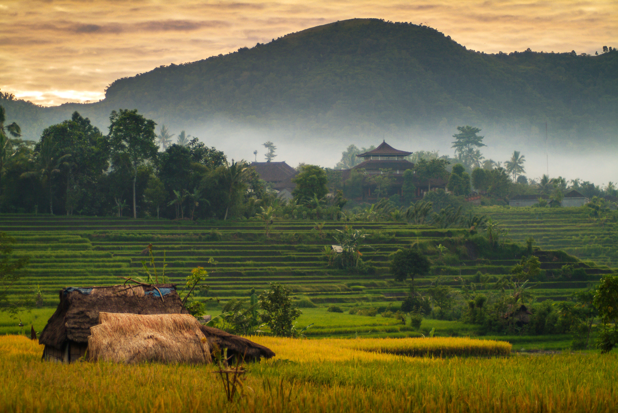 Fujifilm FinePix S2 Pro sample photo. Sidemen, bali rice terraces photography