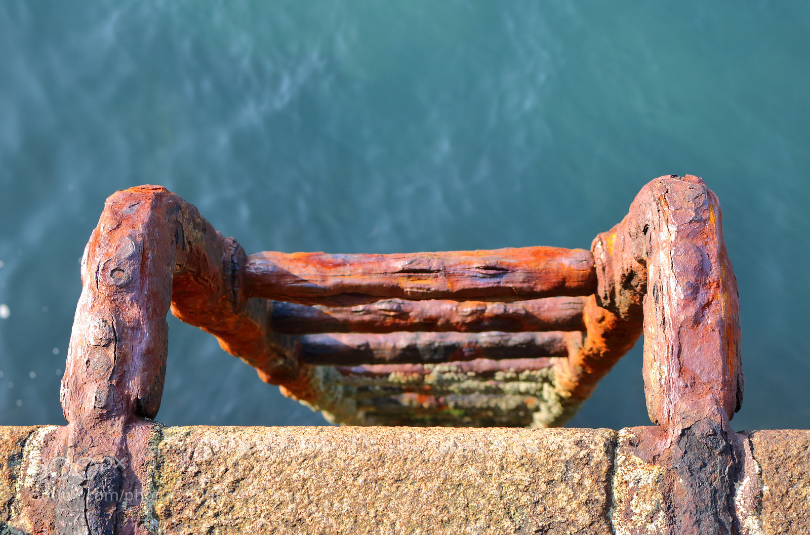 Canon EOS 750D (EOS Rebel T6i / EOS Kiss X8i) sample photo. Ladder of rust photography