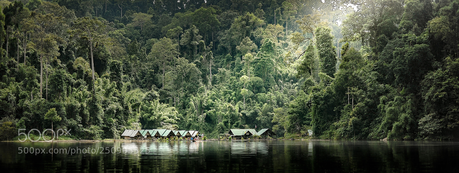 Nikon D700 sample photo. - deep jungle - photography