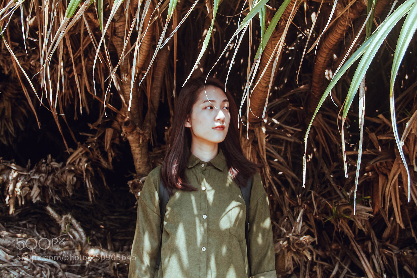 Canon EOS 550D (EOS Rebel T2i / EOS Kiss X4) sample photo. Portrait photography 2018 photography