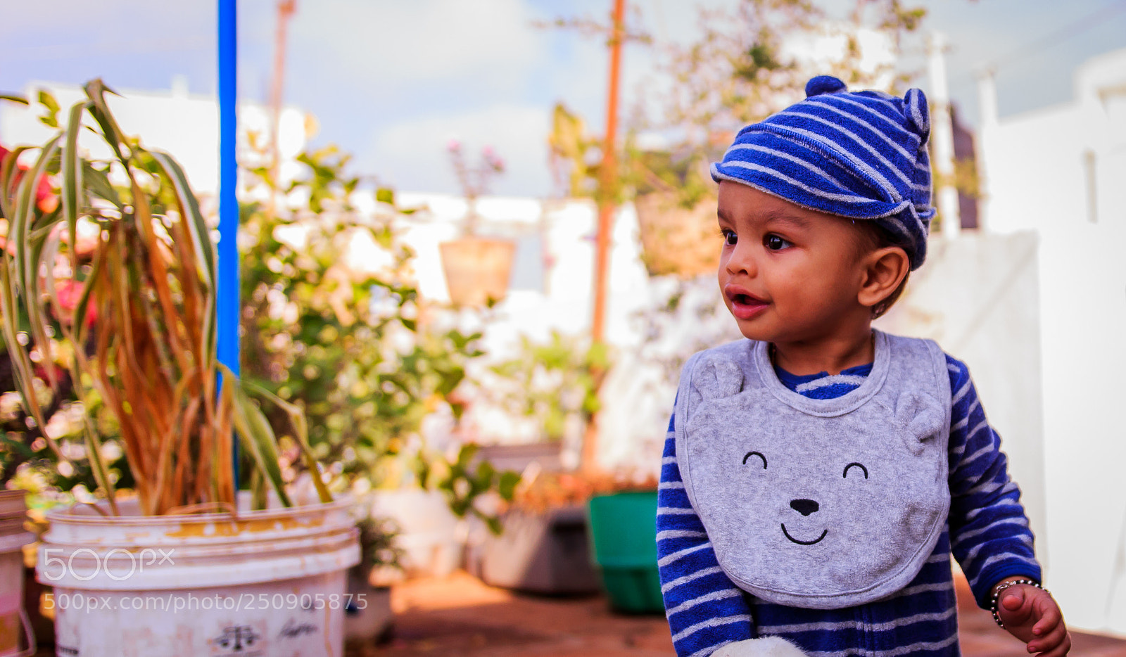 Canon EOS 700D (EOS Rebel T5i / EOS Kiss X7i) sample photo. Cute bear photography