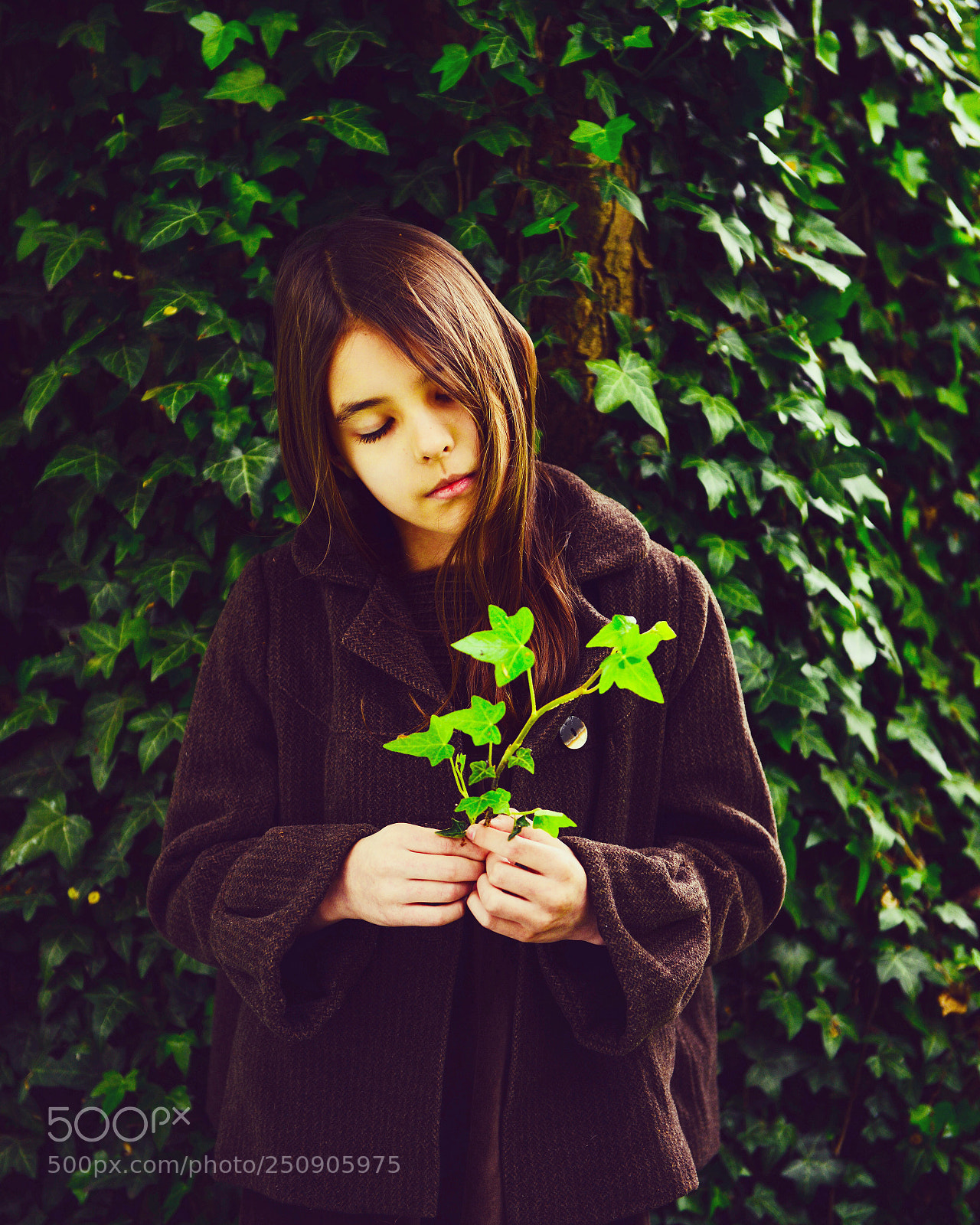 Nikon D800 sample photo. Green memory ...  photography