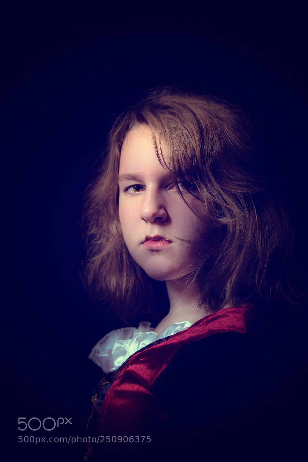 Nikon D5300 sample photo. "old dutch masters light" photography