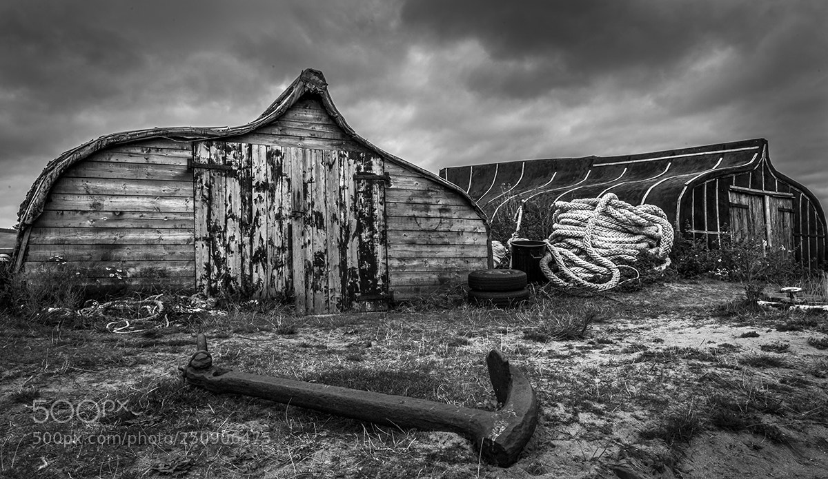 Nikon D810 sample photo. Lindisfarne photography