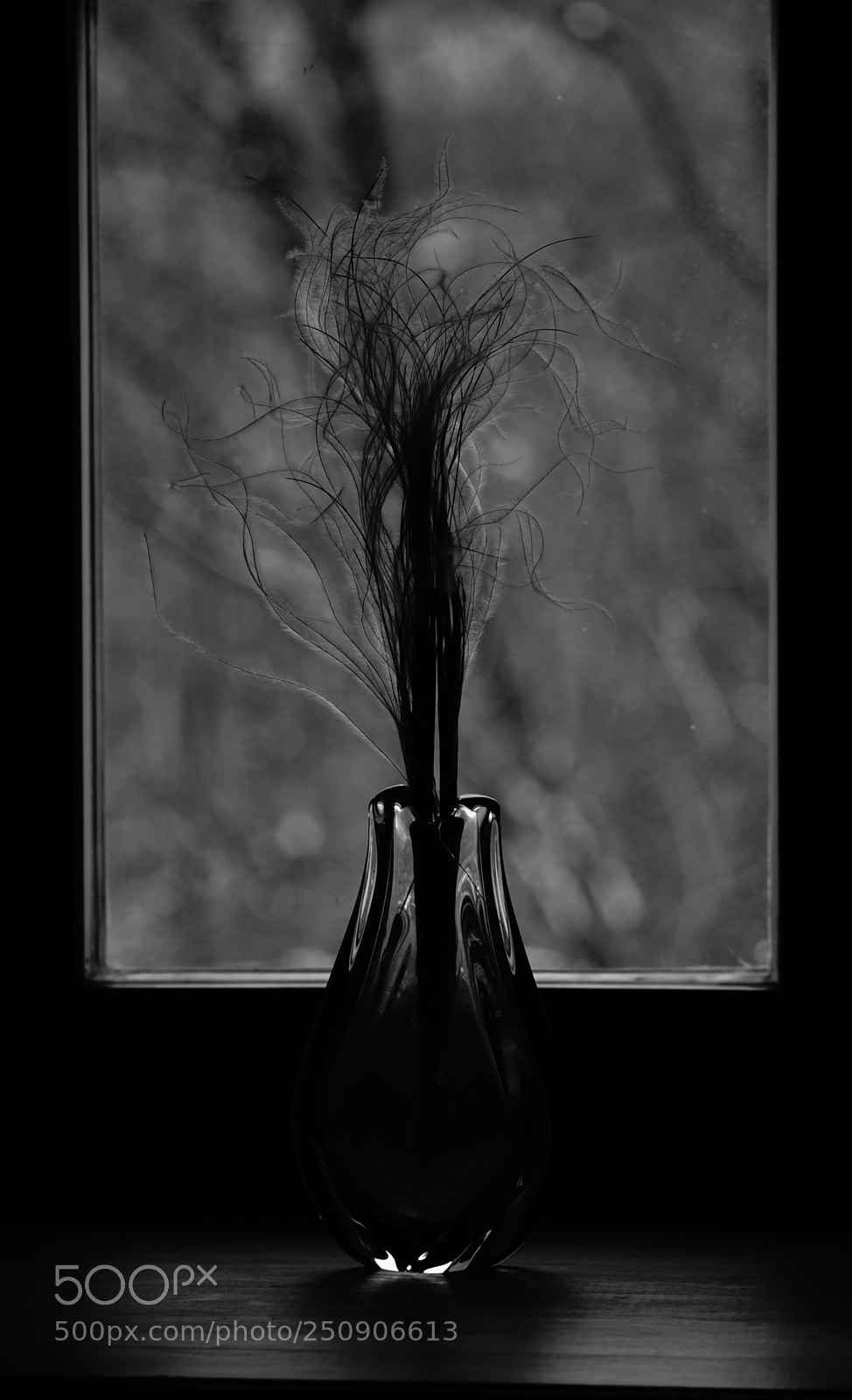 Sony SLT-A57 sample photo. Window photography