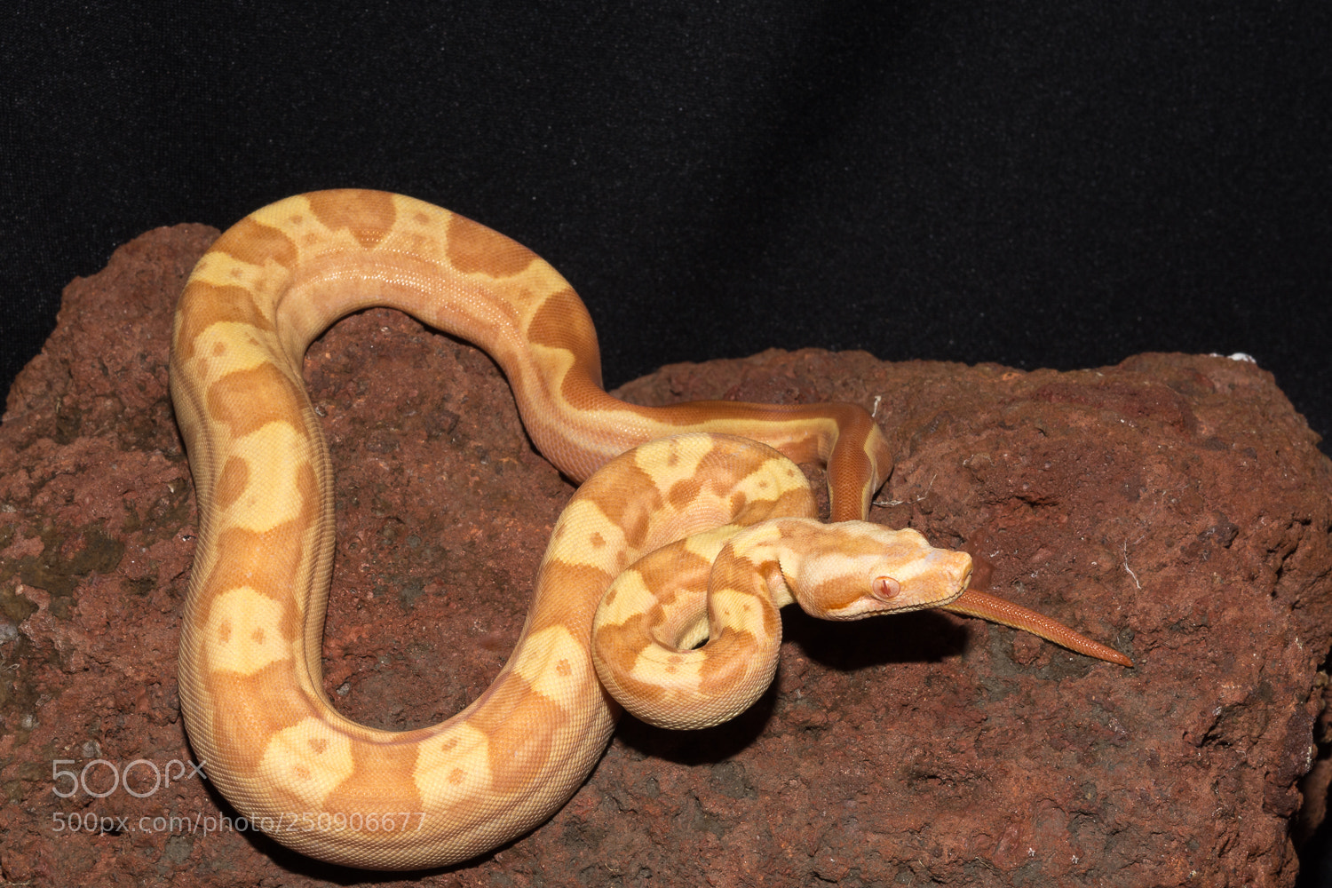 Nikon D7100 sample photo. Sharp on red rock photography