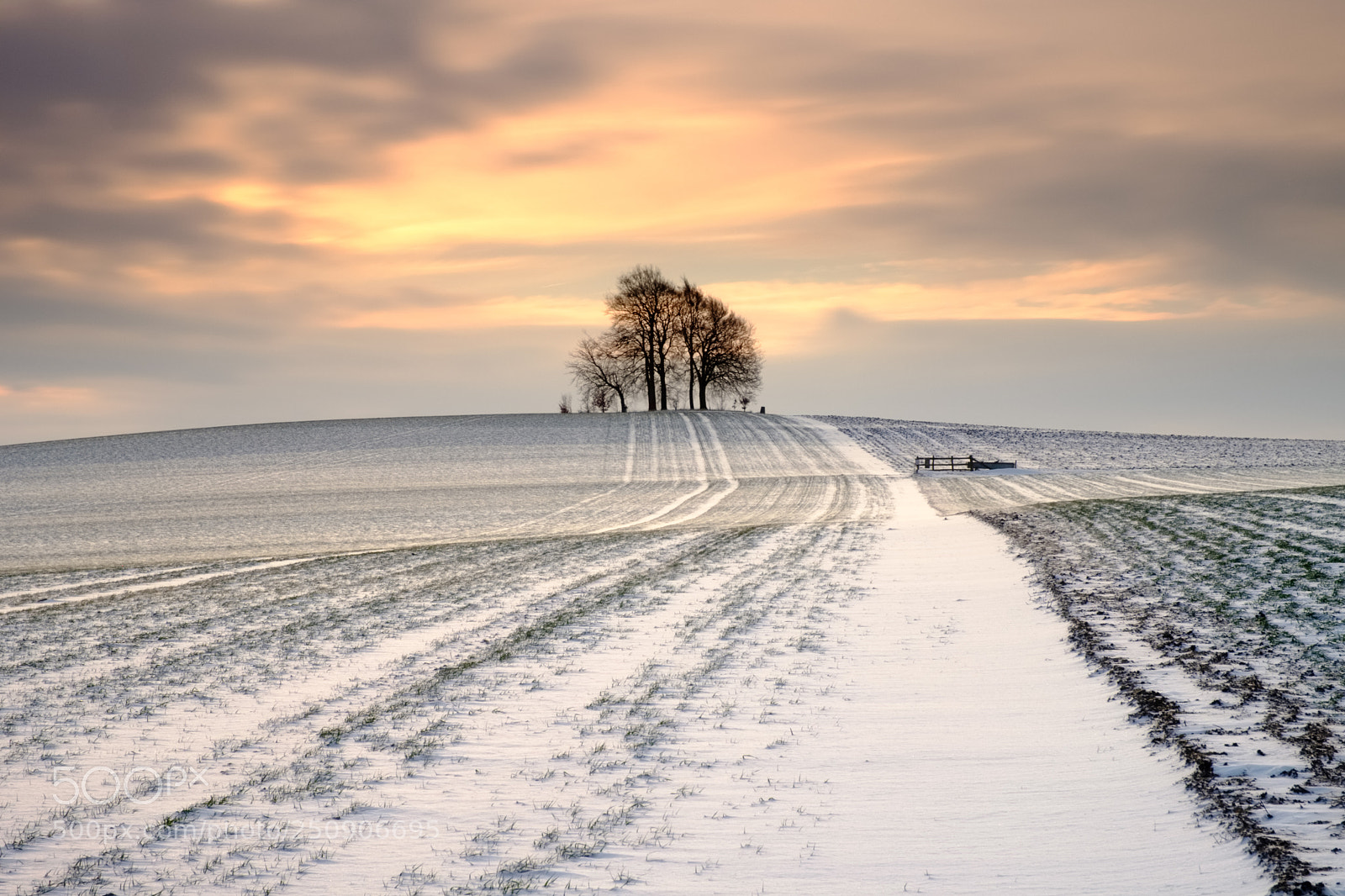 Fujifilm X-T20 sample photo. Path to brightwell photography