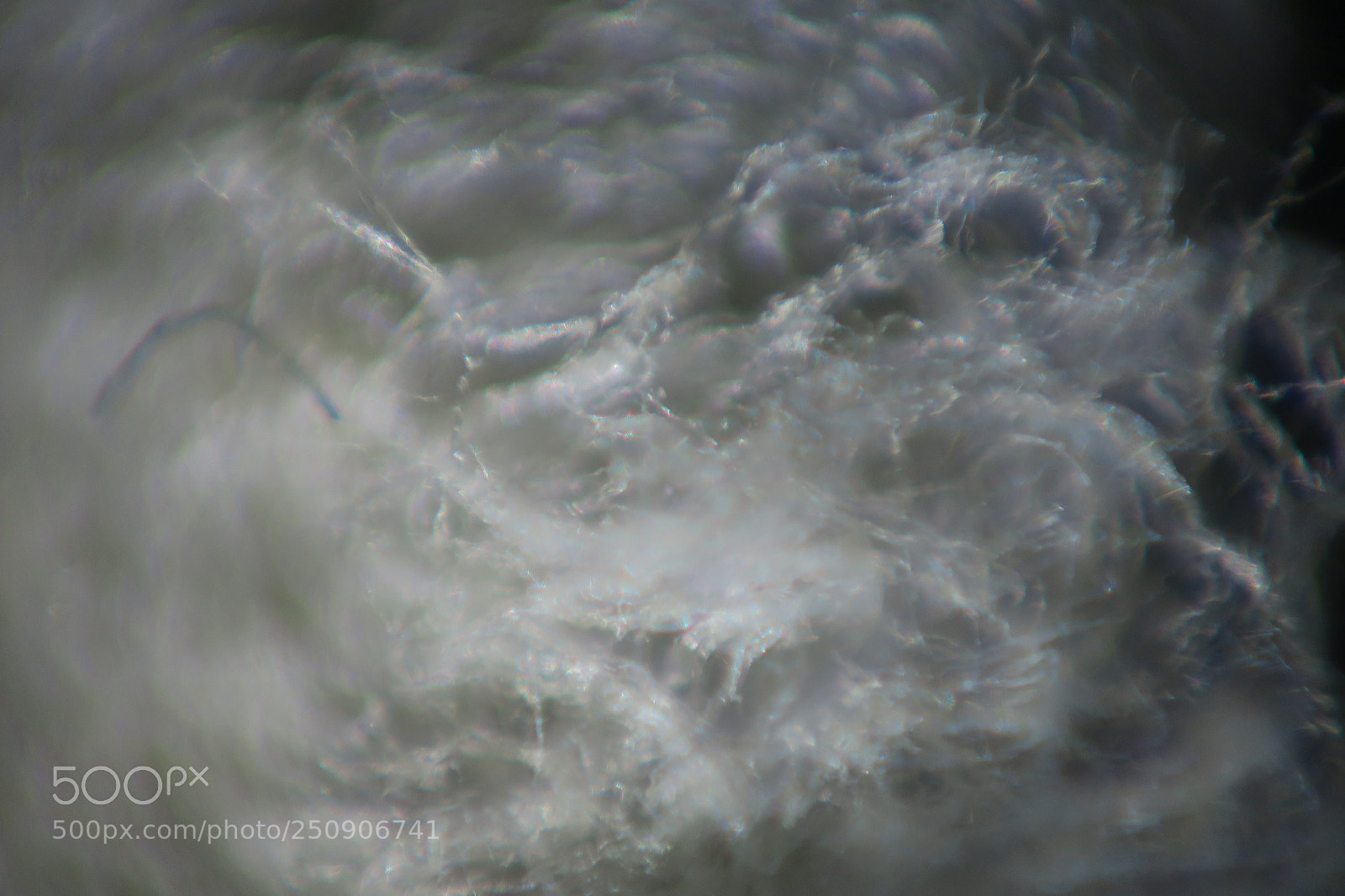Canon PowerShot G3 X sample photo. Surface of a leather photography