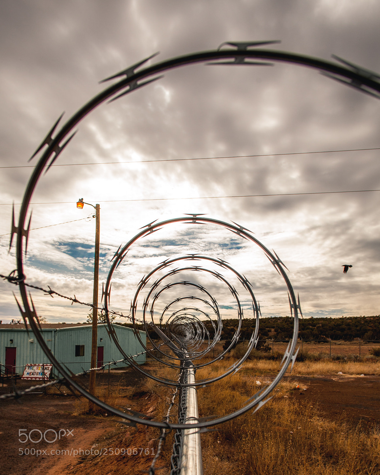 Canon EOS 5D Mark II sample photo. Through the wire photography