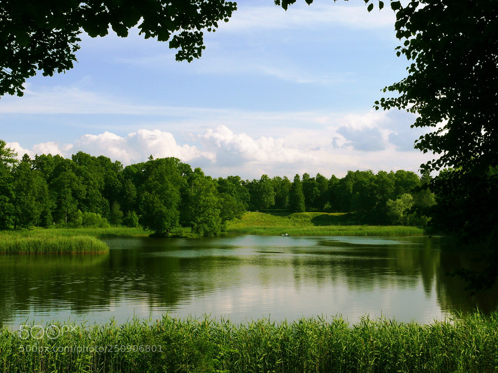 Panasonic DMC-FZ50 sample photo. Silent pond photography