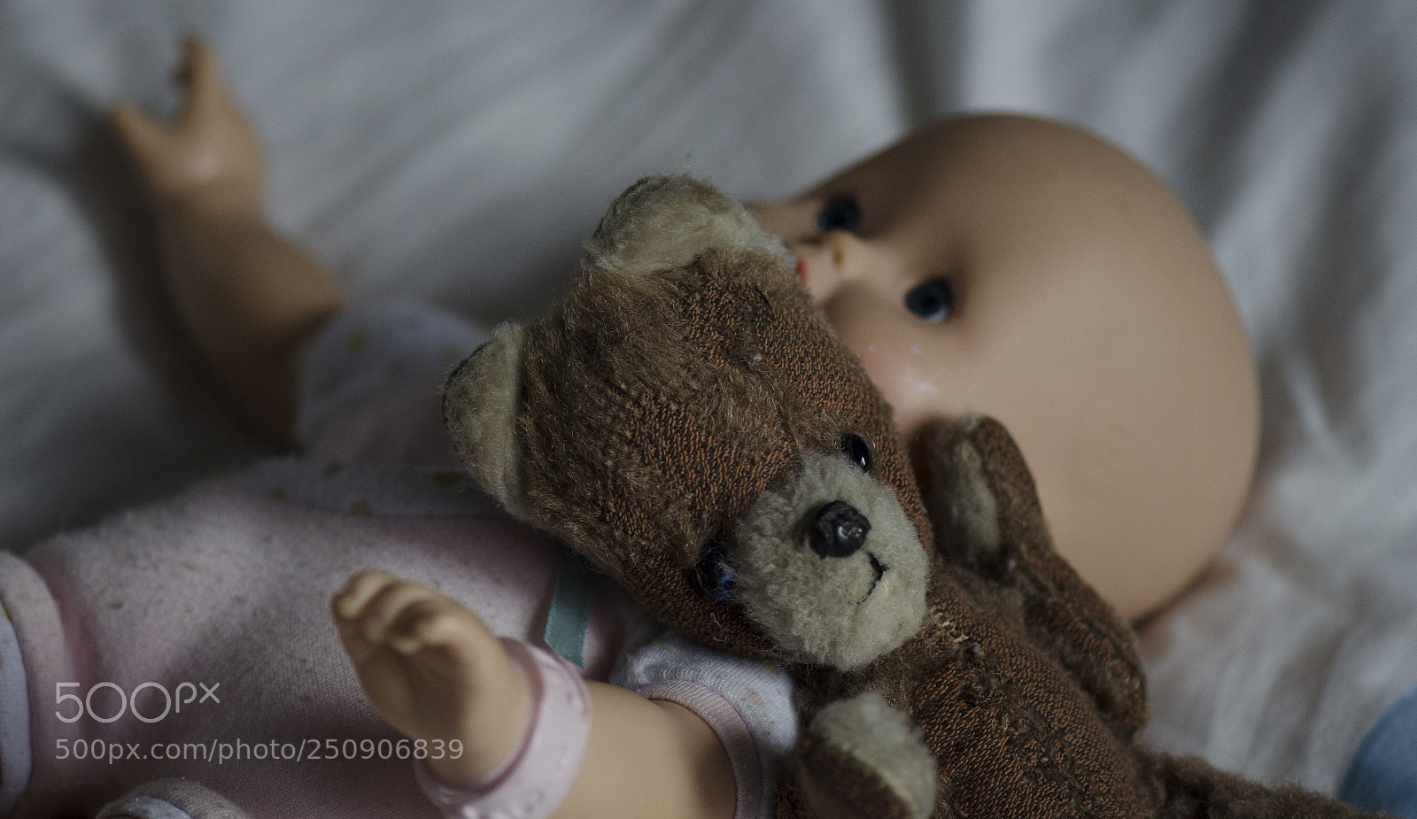 Nikon D7000 sample photo. All you need is photography