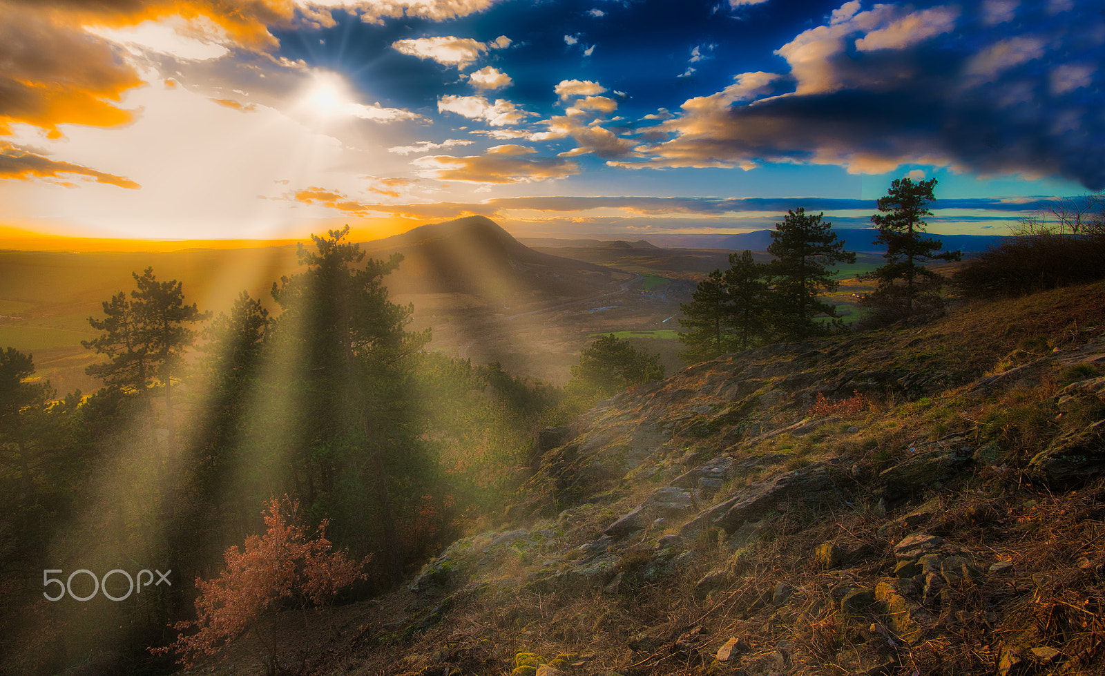 Nikon D850 + Nikon AF-S Nikkor 20mm F1.8G ED sample photo. Bořeň photography