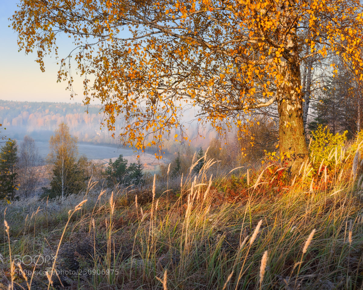 Nikon D3X sample photo. Morning photography