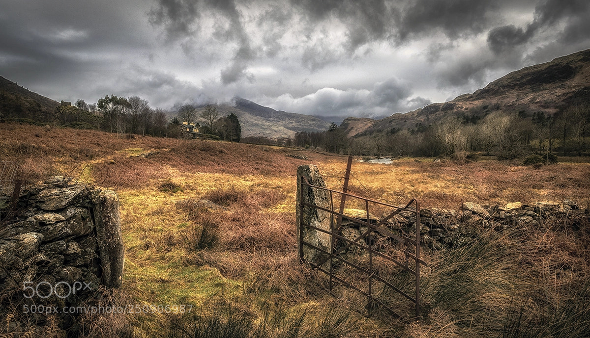 Nikon D3S sample photo. Llyn dinas photography