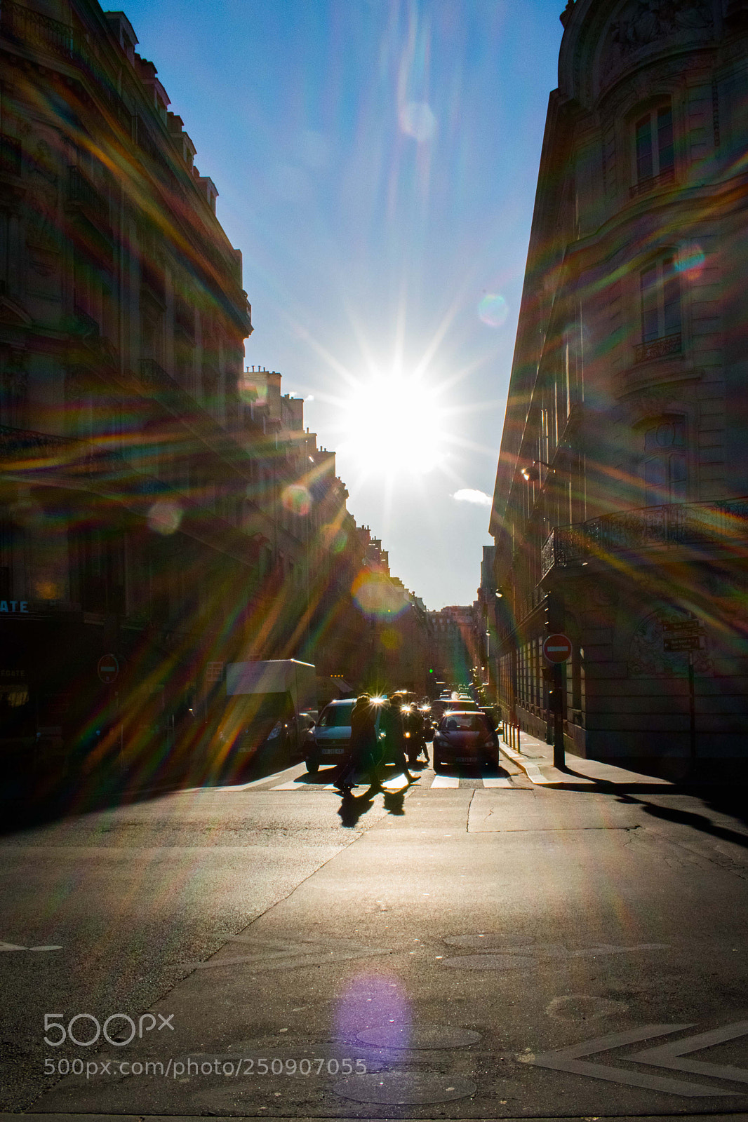 Nikon D5600 sample photo. Life in paris photography