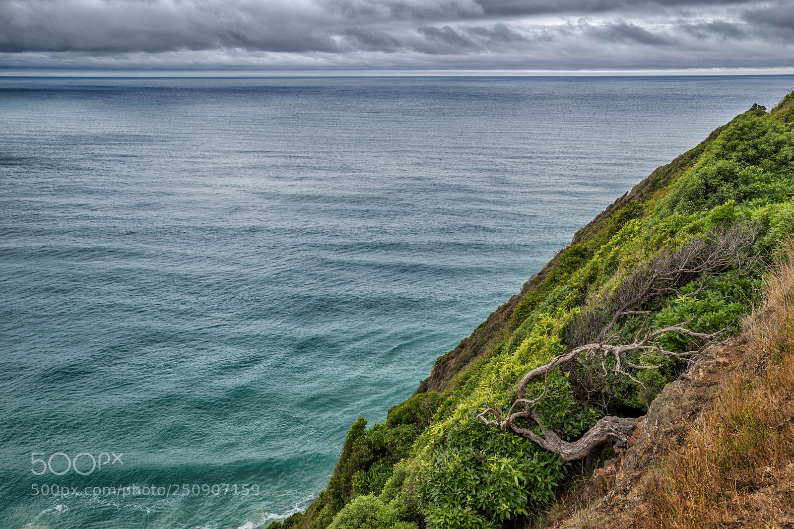 Pentax K-1 sample photo. Nugget point ii photography