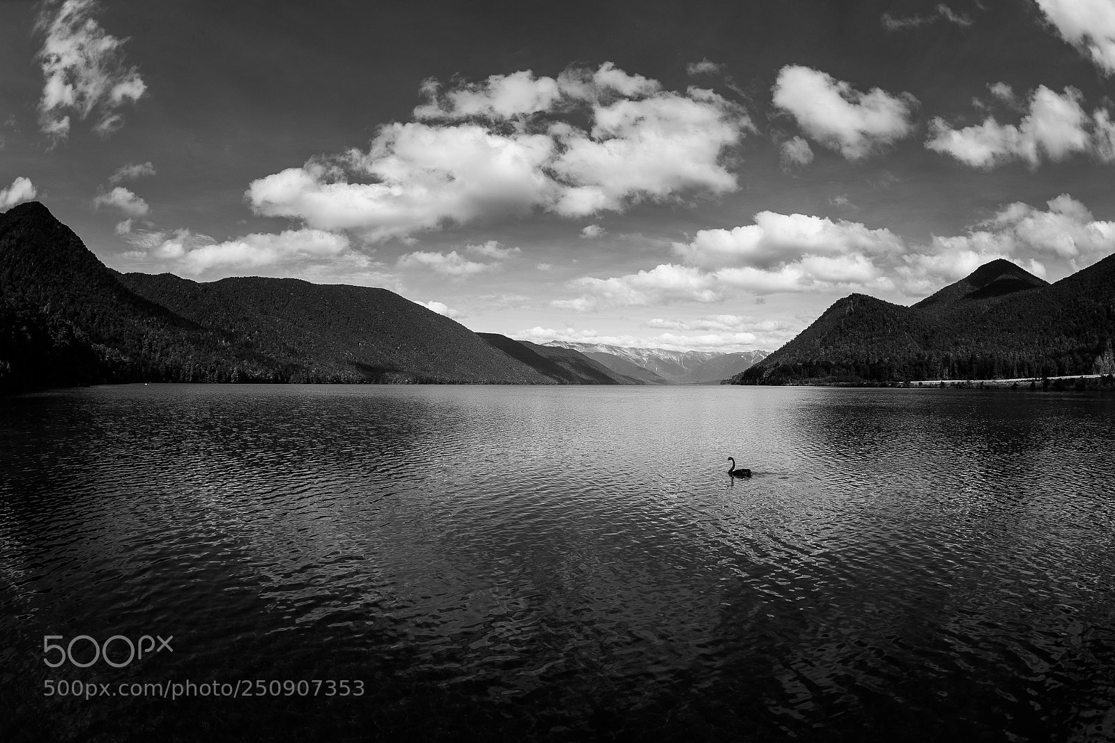 Nikon D4 sample photo. New zealand lake rotoroa photography