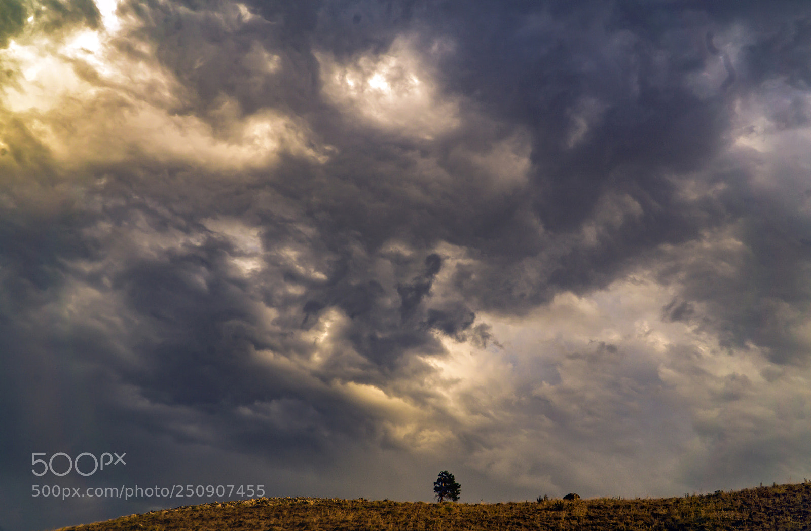Sony a6000 sample photo. Clouds and tree.. bulutlar photography