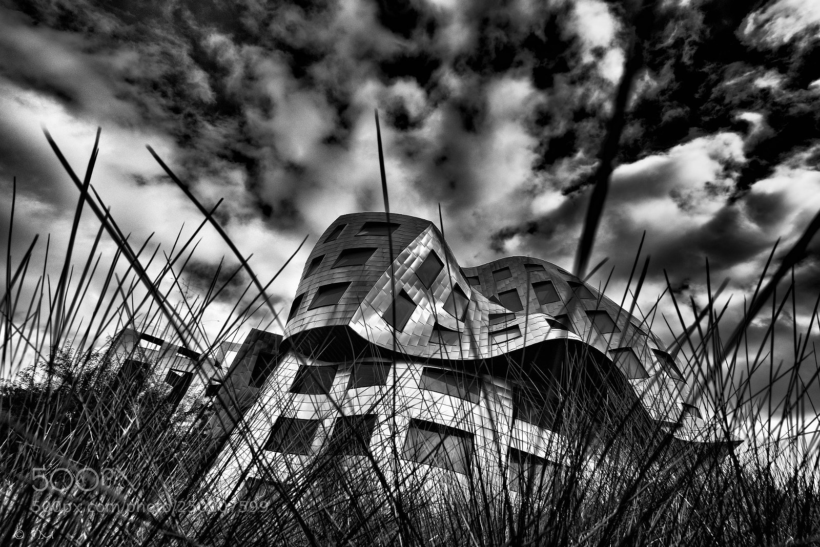 Nikon D810 sample photo. Gehry  art photography
