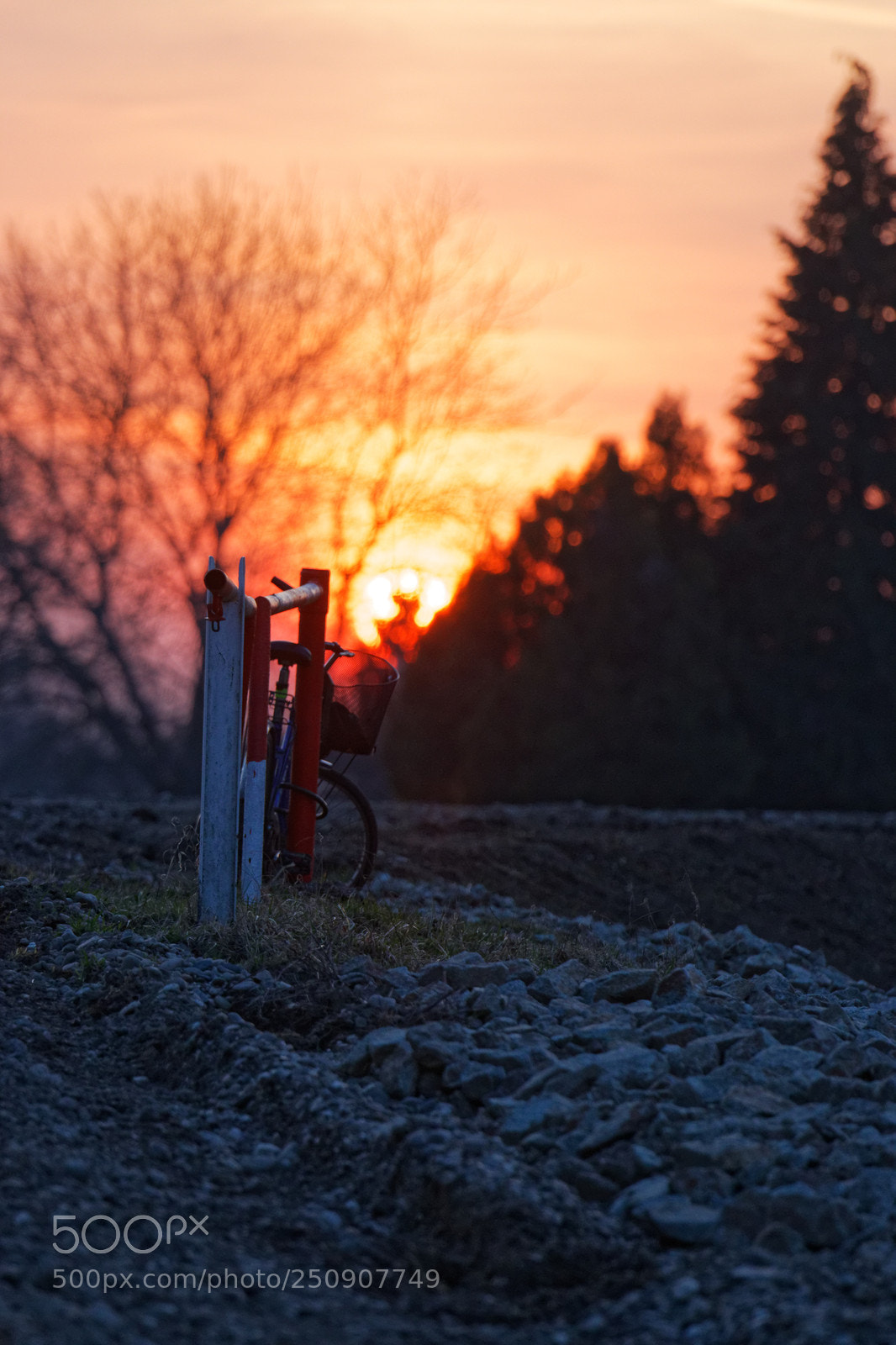 Canon EOS 70D sample photo. Z pad slnka pri photography
