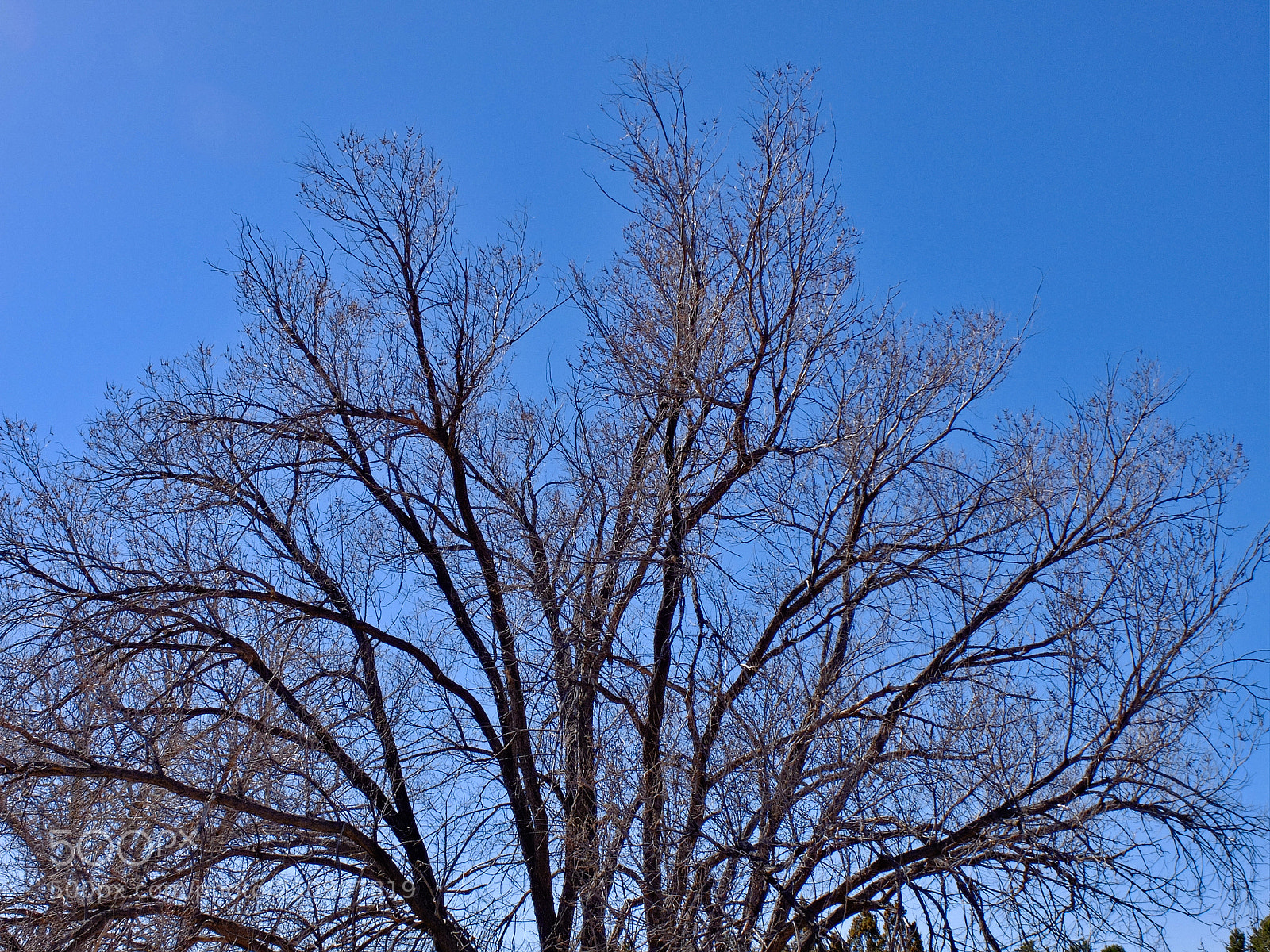Fujifilm X30 sample photo. Waiting for spring photography