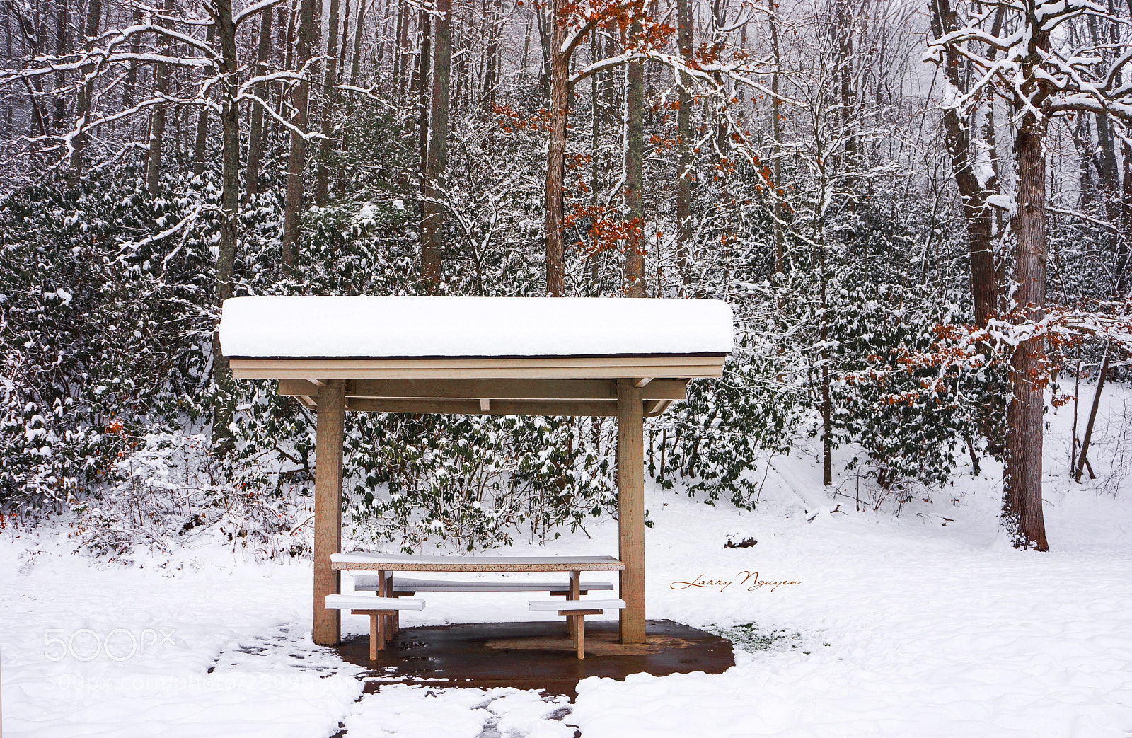 Sony Alpha NEX-7 sample photo. Fines creek, nc photography