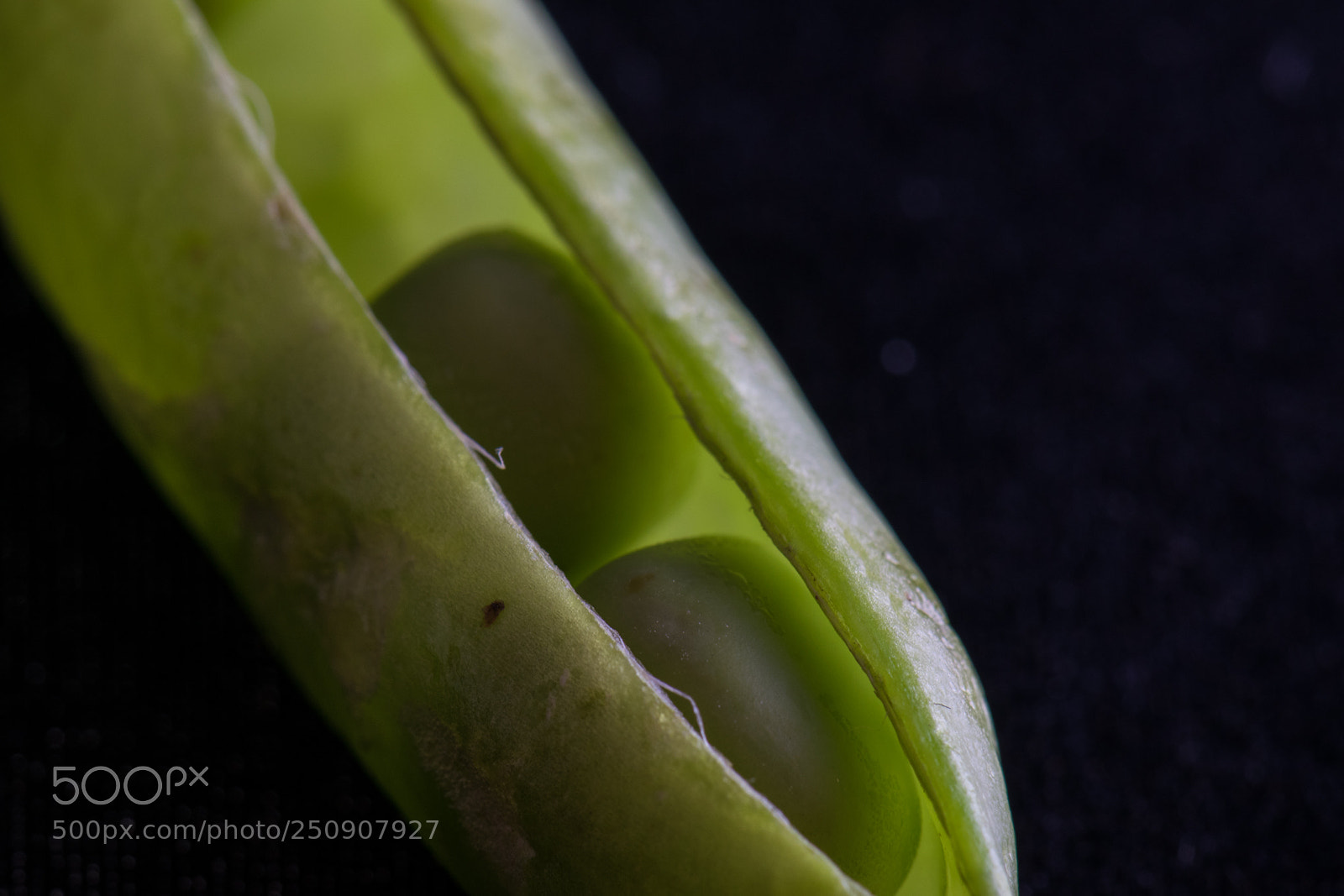 Nikon D5300 sample photo. Pea for two photography