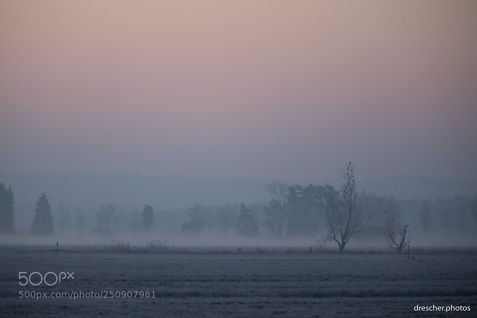 Canon EOS 5D Mark IV sample photo. Federsee, germany photography