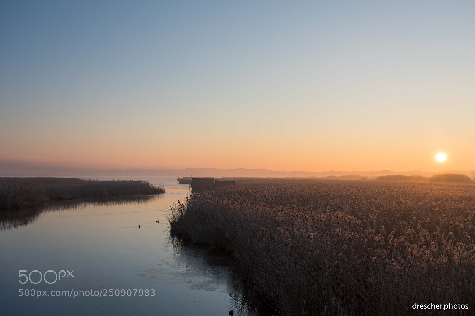 Canon EOS 5D Mark IV sample photo. Federsee, germany photography