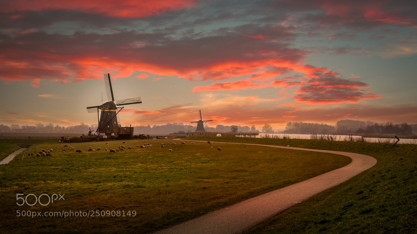 Sony SLT-A58 sample photo. Windmills at sunset photography