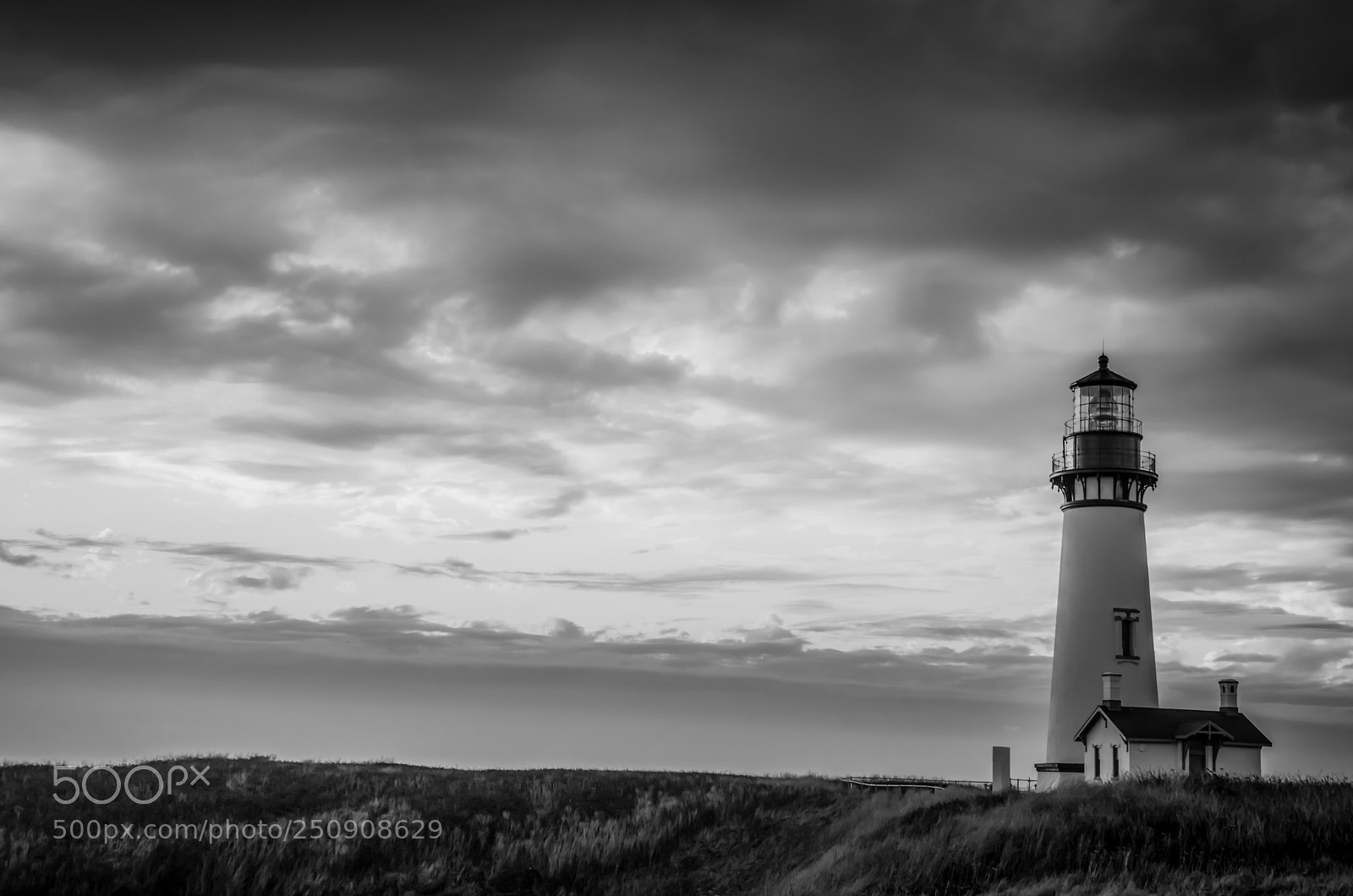 Nikon D7000 sample photo. Yaquina head lighthouse photography