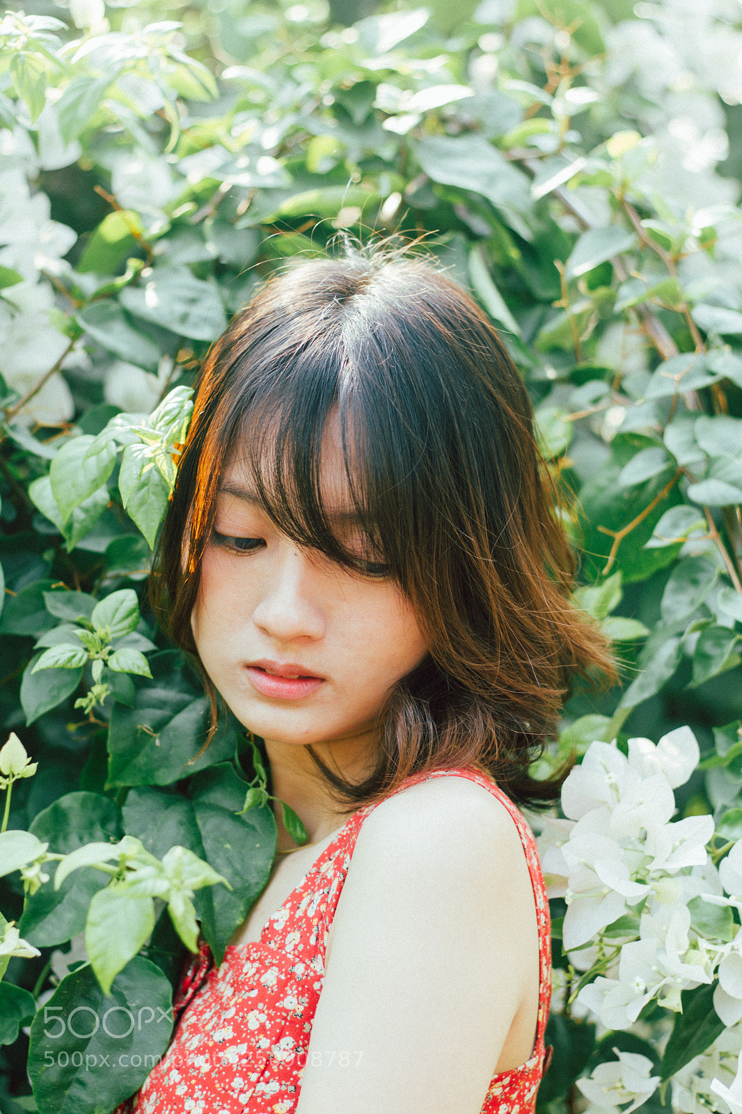 Canon EOS 7D sample photo. Hfj photography