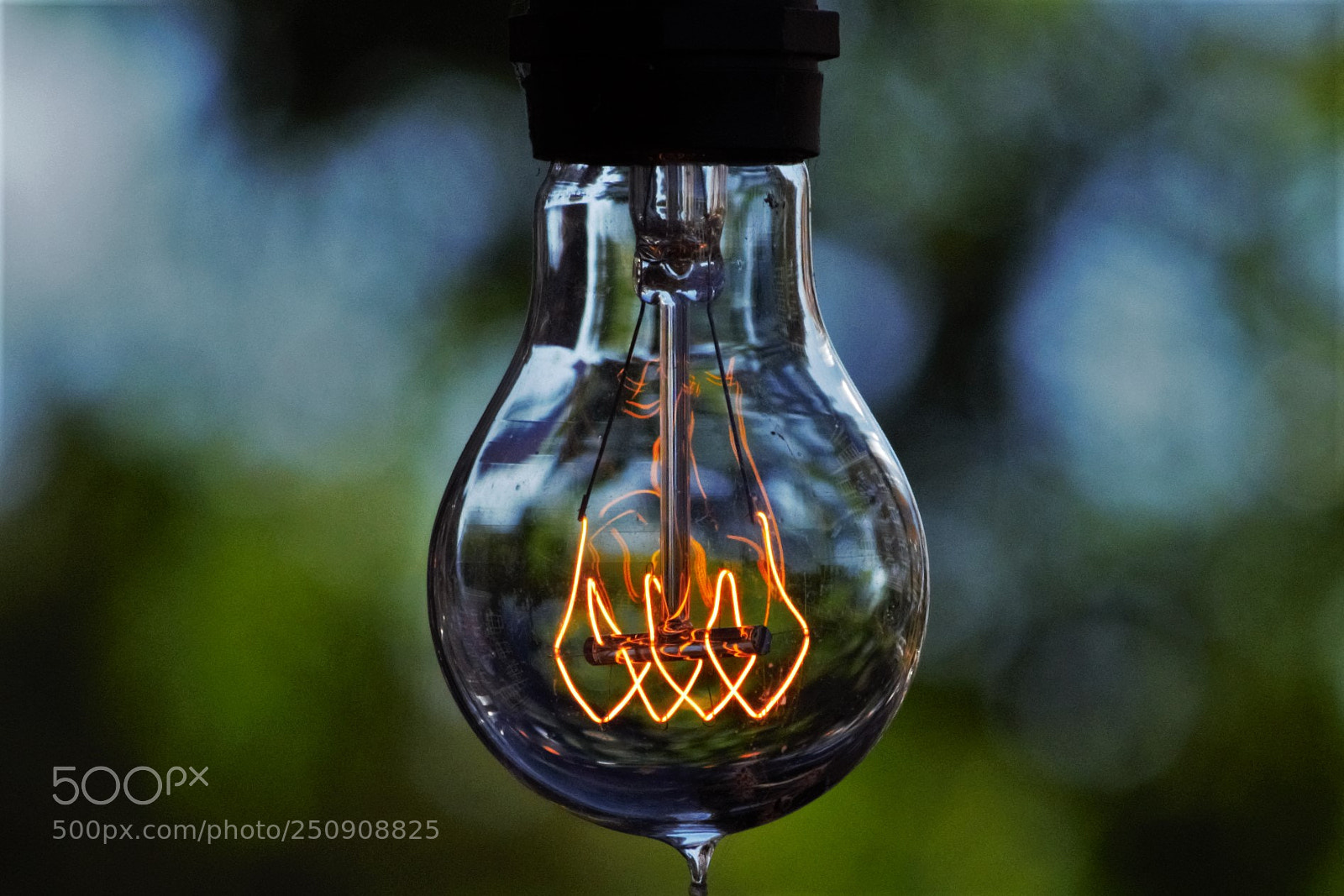 Nikon D3300 sample photo. Light bulb photography