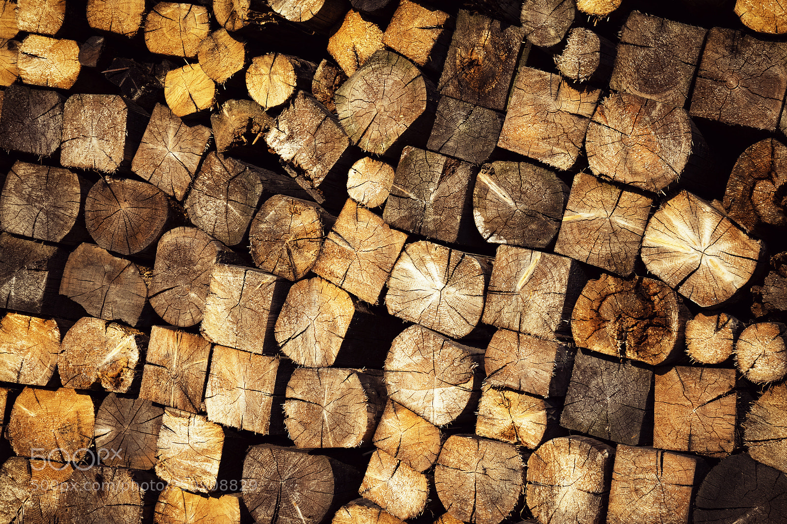 Nikon D5500 sample photo. Texture wood fuel pile photography