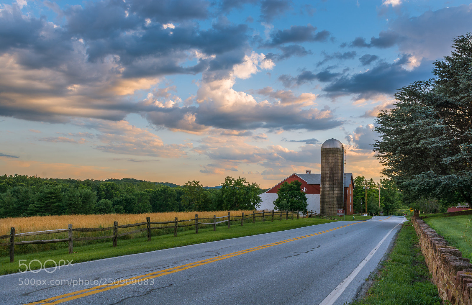 Nikon D7100 sample photo. Untitled photography