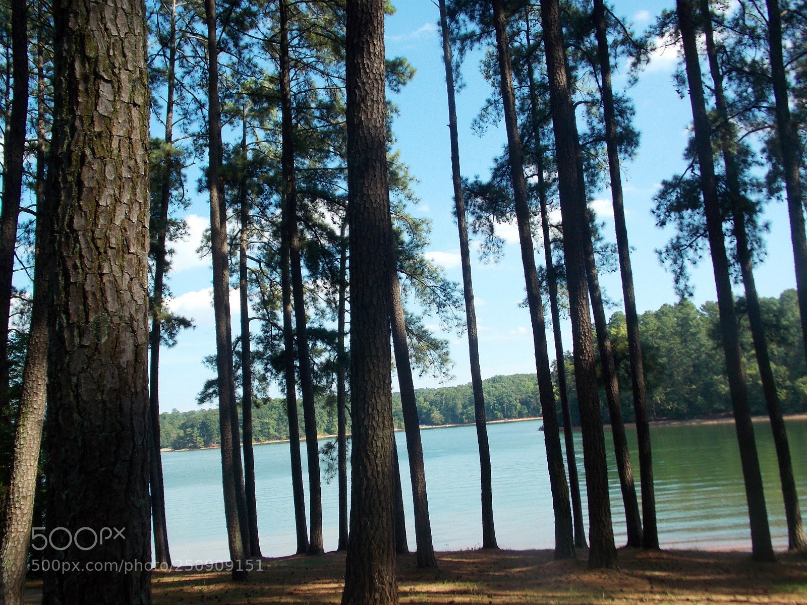 Nikon Coolpix L810 sample photo. Hartwell lake....south carolina photography