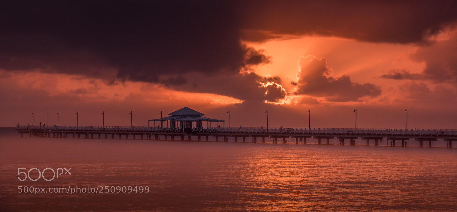Olympus OM-D E-M1 Mark II sample photo. Golden dawn shorncliffe photography