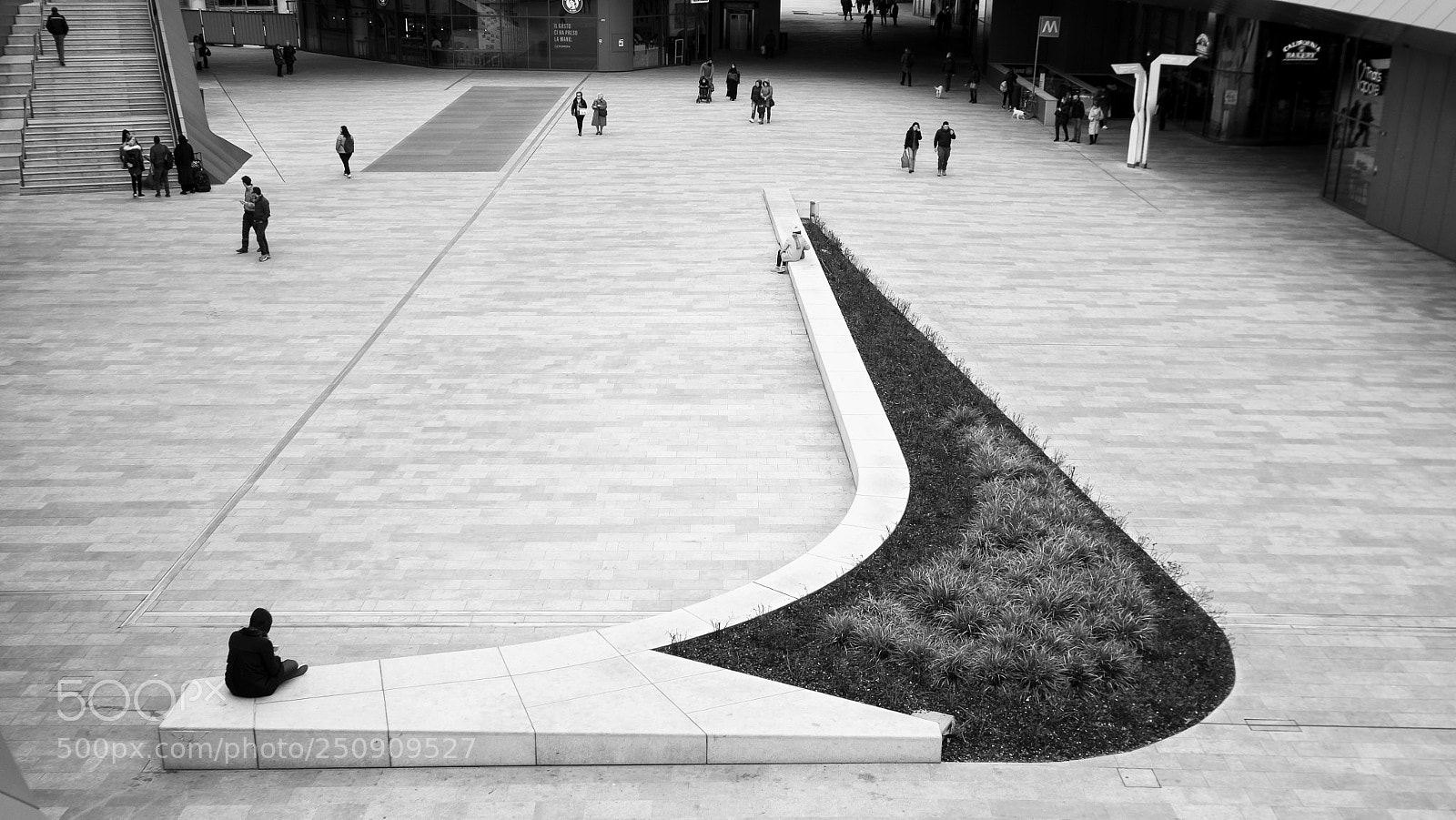 Fujifilm X-T1 sample photo. Curvilinear photography