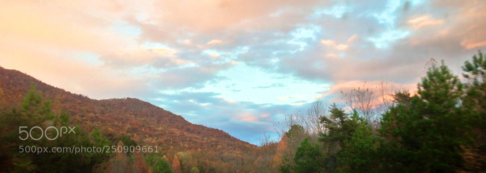 Apple iPhone 5 sample photo. Tennessee foliage in the photography