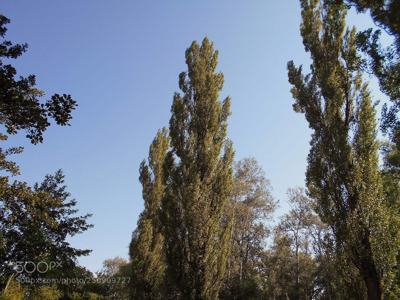 Nikon Coolpix A100 sample photo. Eacdcorig photography