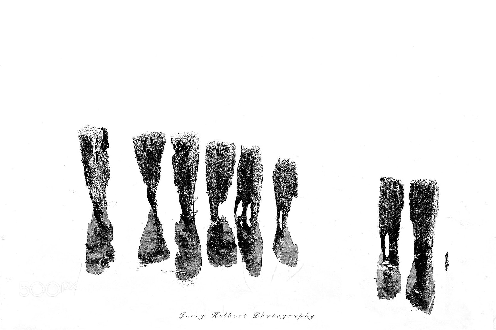 Nikon D500 sample photo. Reflection photography