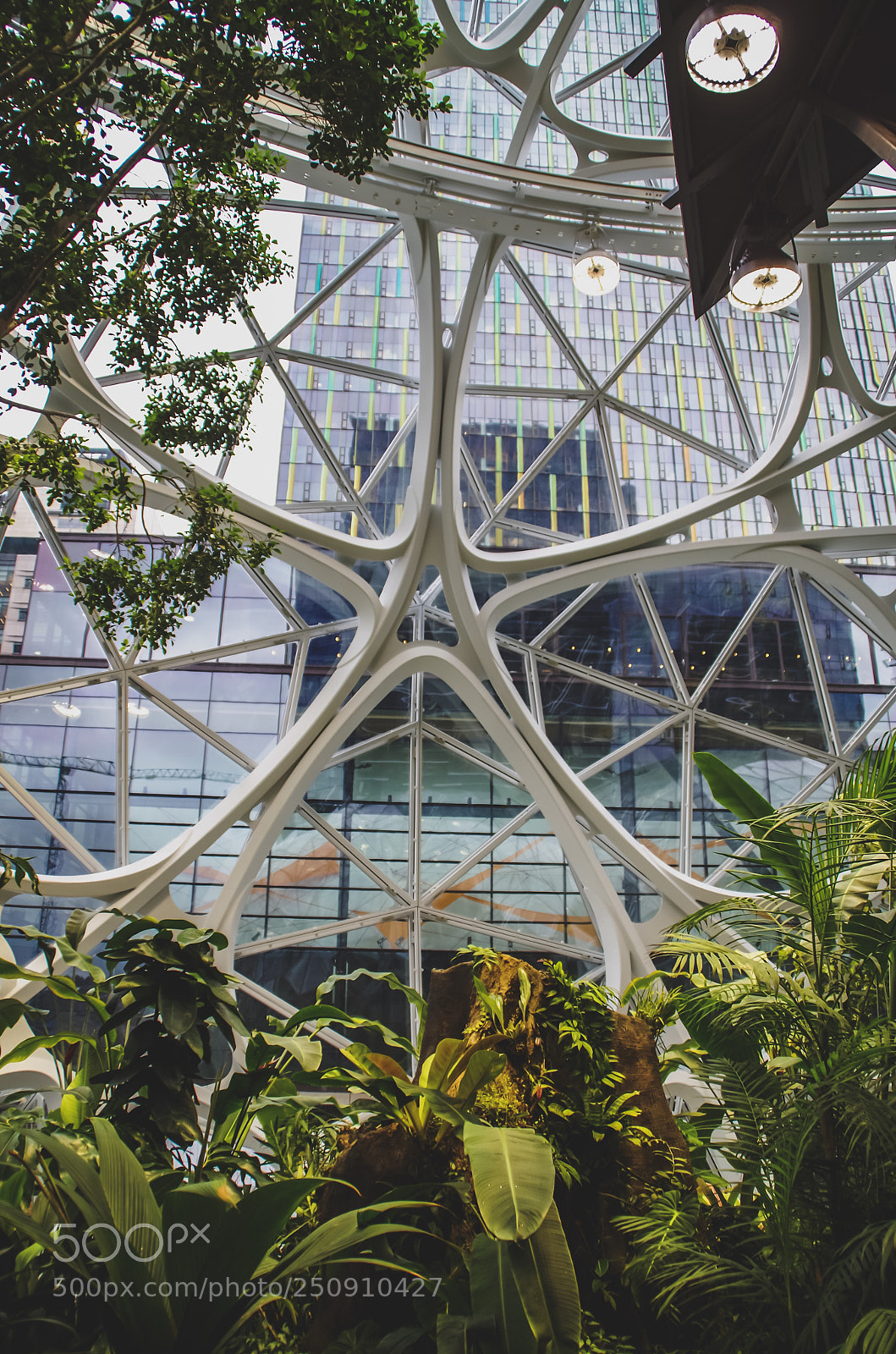 Pentax K-30 sample photo. Amazon the spheres photography