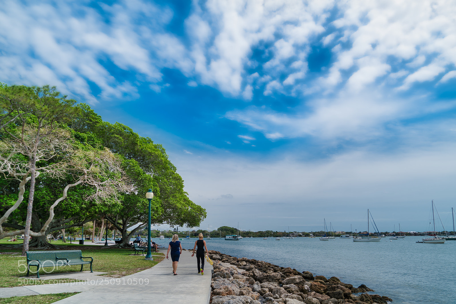 Sony a7R II sample photo. Midday walk photography