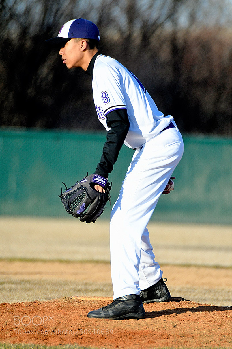 Nikon D500 sample photo. 3-22_0228.jpg photography