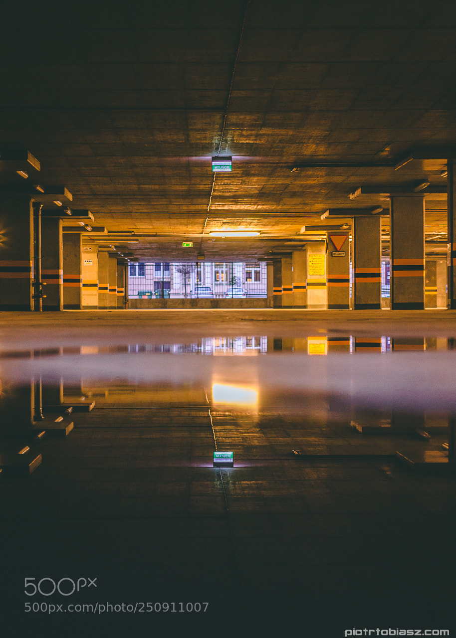 Canon EOS 7D sample photo. Reflection. photography
