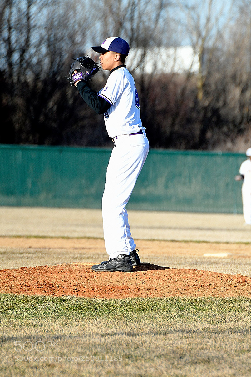 Nikon D500 sample photo. 3-22_0229.jpg photography