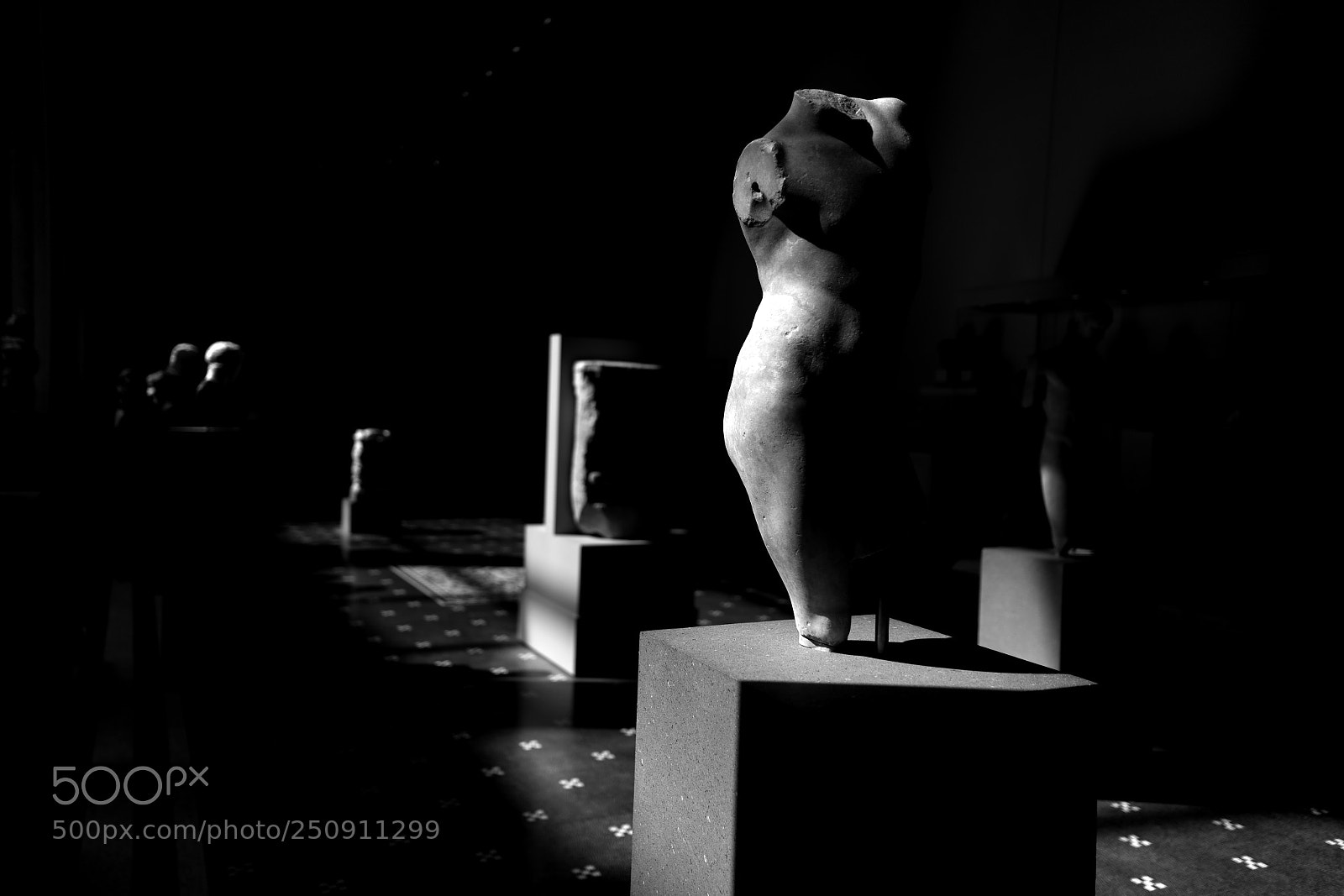 Sony a7R II sample photo. Morning light -- gallery 162 photography