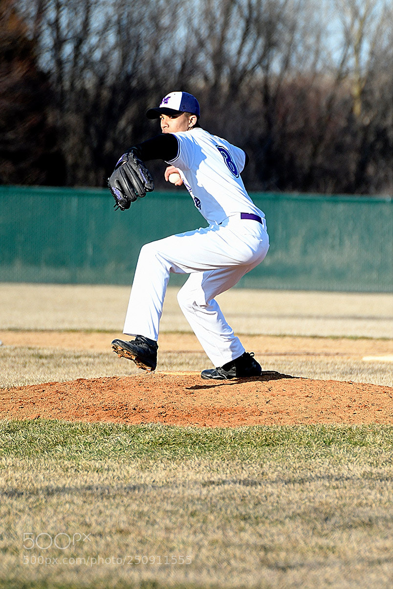 Nikon D500 sample photo. 3-22_0232.jpg photography